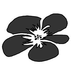080421.gif