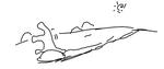 c84b49c3.jpg