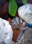 a5e688e7.JPG
