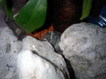 CA330228.JPG