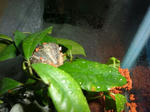 DSCF2132.JPG