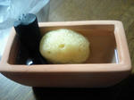海綿