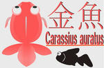 金魚の絵