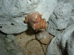 DSCF2457.JPG
