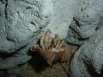 DSCF2459.JPG