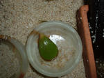 DSCF2482.JPG