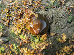 IMG_2095.JPG