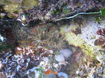 IMG_2032.JPG