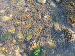 IMG_2263.JPG