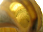 IMG_2523.JPG