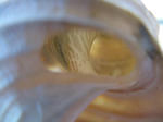 IMG_2536.JPG