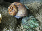 IMG_2634.JPG