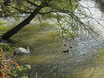 IMG_2748.JPG
