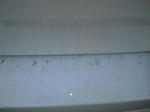 CA390036.JPG