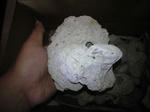 CA390046.JPG