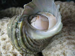 IMG_4343.JPG