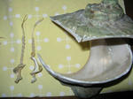 IMG_4401.JPG