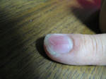 IMG_4437.JPG