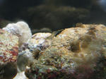 IMG_4548.JPG