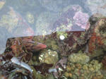 CA390070.JPG