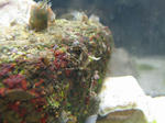 IMG_4847.jpg