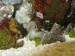IMG_4865.jpg