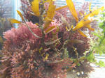 IMG_4953.JPG