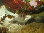 IMG_5212.JPG