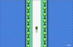 ポケモンガーデン