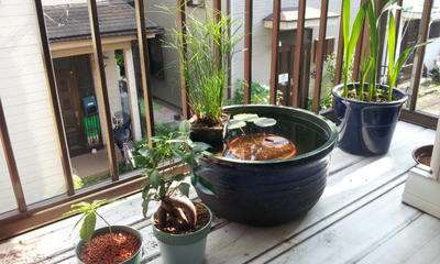20120702_160150.jpg