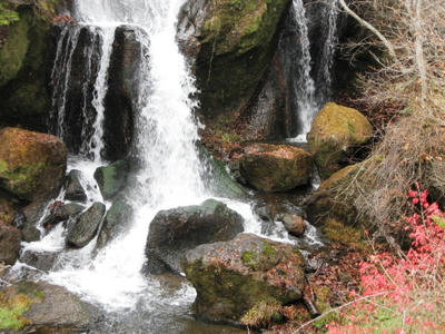 081103_ryuuzufall2.JPG