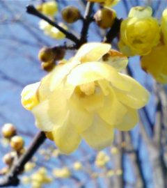 090204_roubai.jpg
