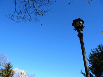 081120_park2.JPG