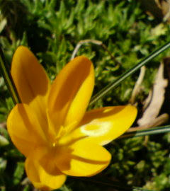 21FEB-02.JPG