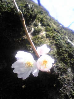 Image003.jpg