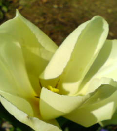 06APR-07.JPG