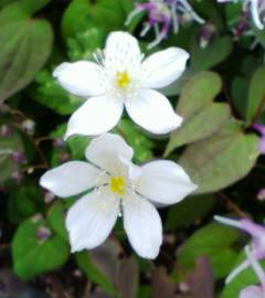 11APR-08.JPG