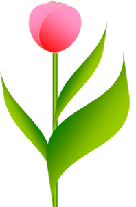 tulip1.png