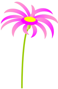 gerbera.png