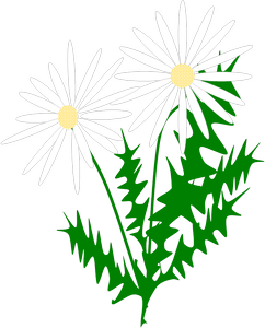 marguerite1.png