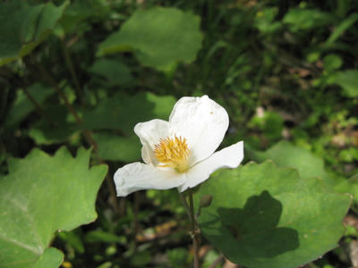 IMG_0001.JPG
