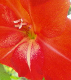 02JUL-00.JPG