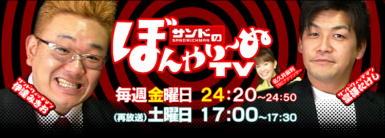 激激激レア！　ぼんやり〜ぬTV Tシャツ　サンドウィッチマン　名久井麻利アナ 激激激レア！ ぼんやり〜ぬTV Tシャツ サンドウィッチマン 名久井麻利