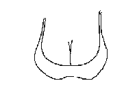 o1.gif