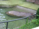 a41c7f1c.jpg