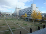 DSCF1566.JPG