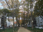 DSCF1567.JPG