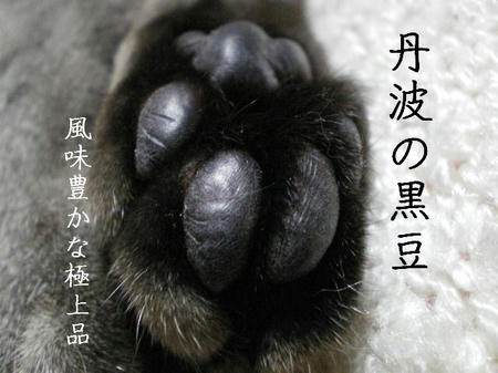 注意：食べられません。