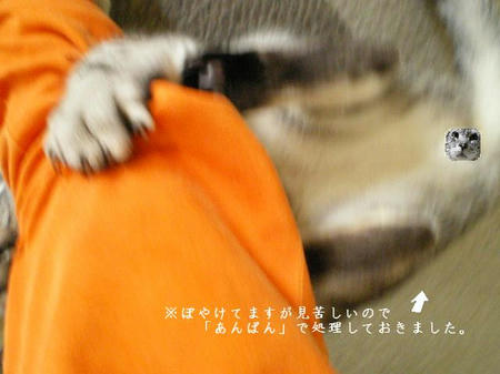 ぐるりん