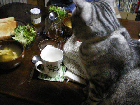 「こんなん食ってるのか」
